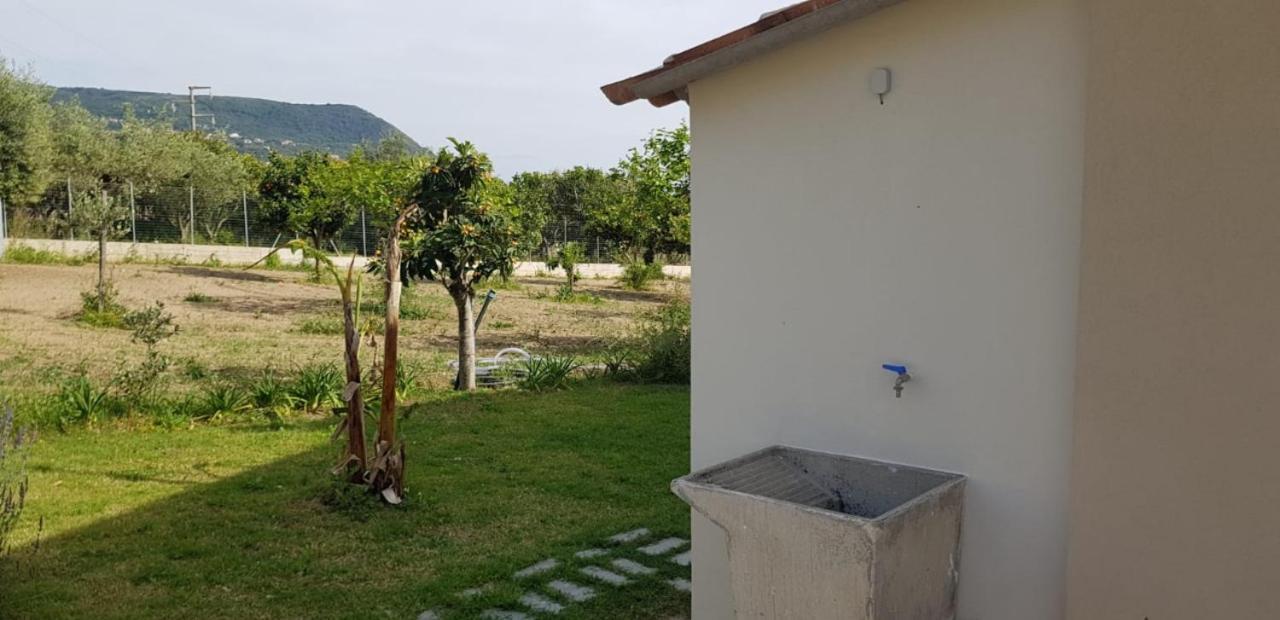 Villa Alice Capo Vaticano Esterno foto