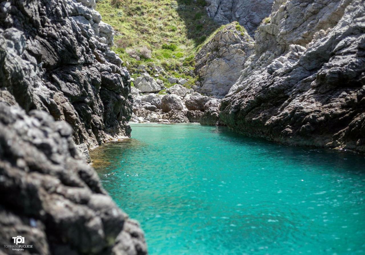 Villa Alice Capo Vaticano Esterno foto