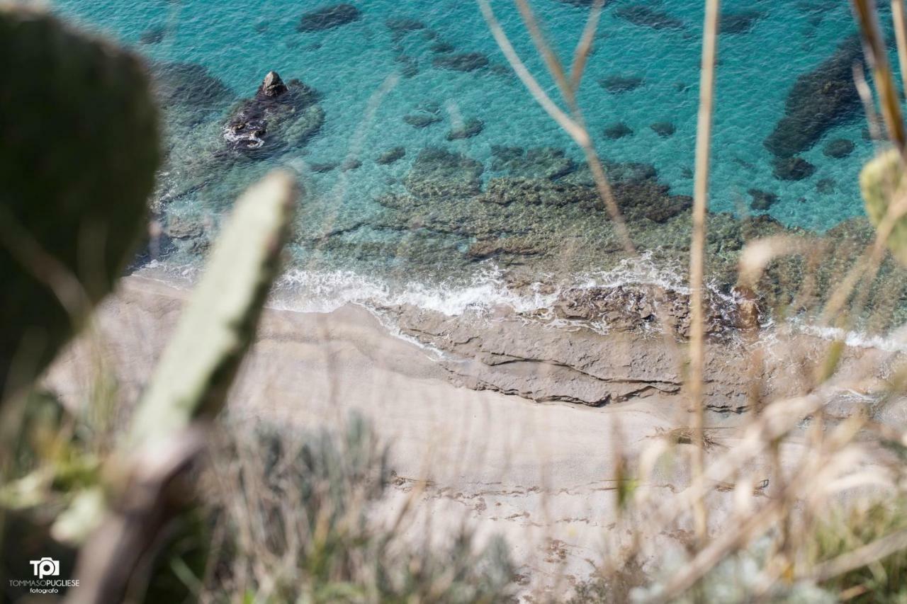 Villa Alice Capo Vaticano Esterno foto