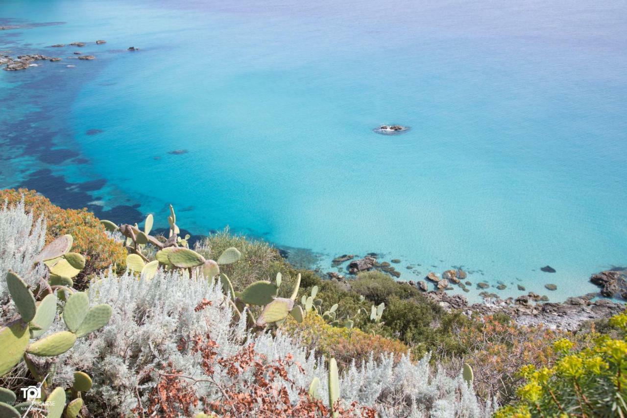 Villa Alice Capo Vaticano Esterno foto